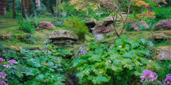 Batsford Arboretum and Garden Centre 