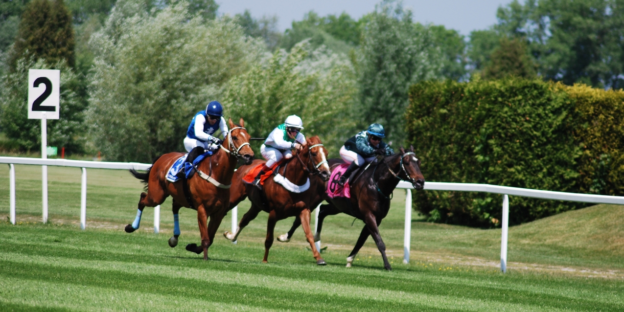 Cheltenham Racecourse | A World-Famous Racing Venue in the Cotswolds