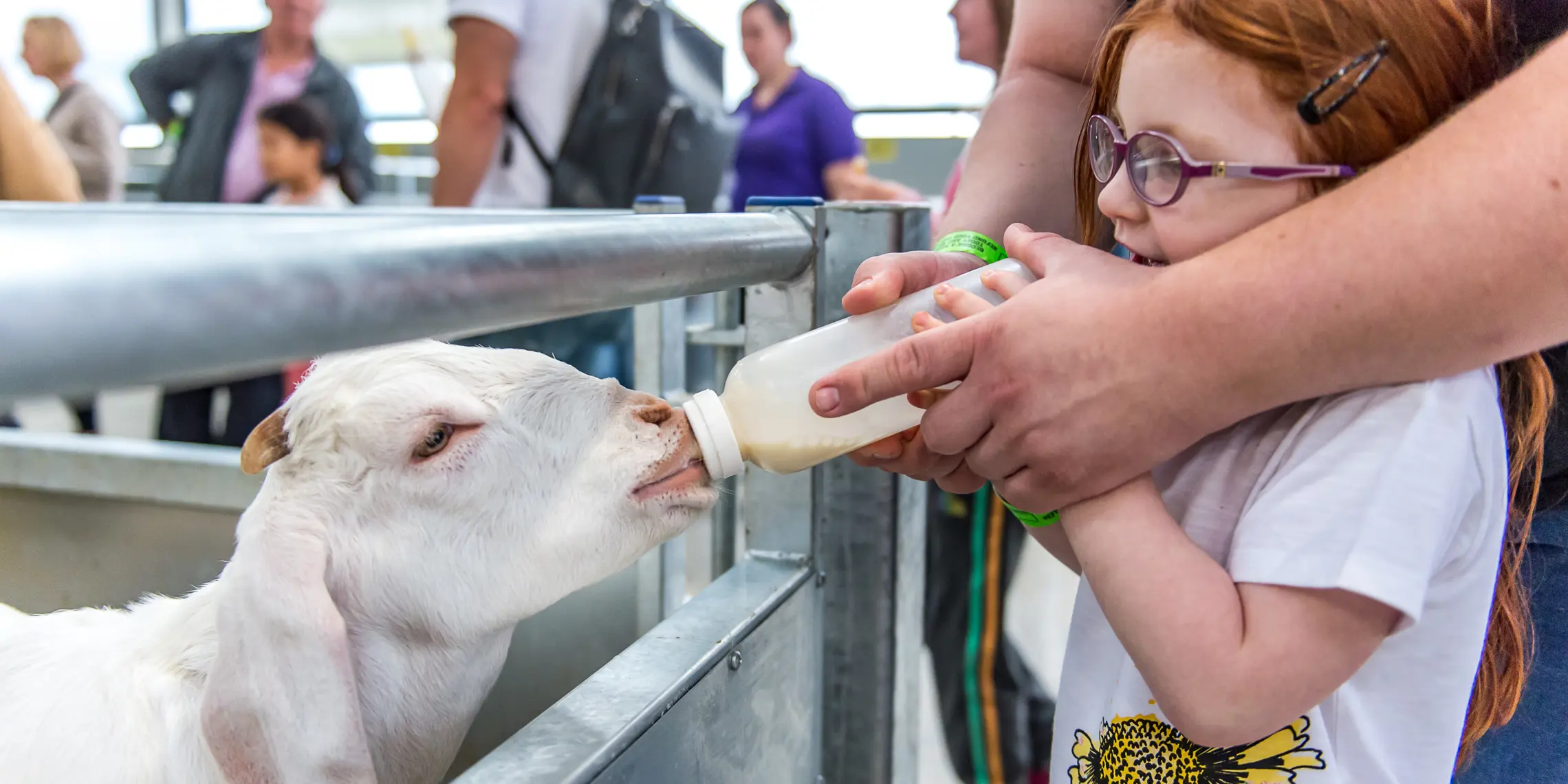 Cotswold Farm Park