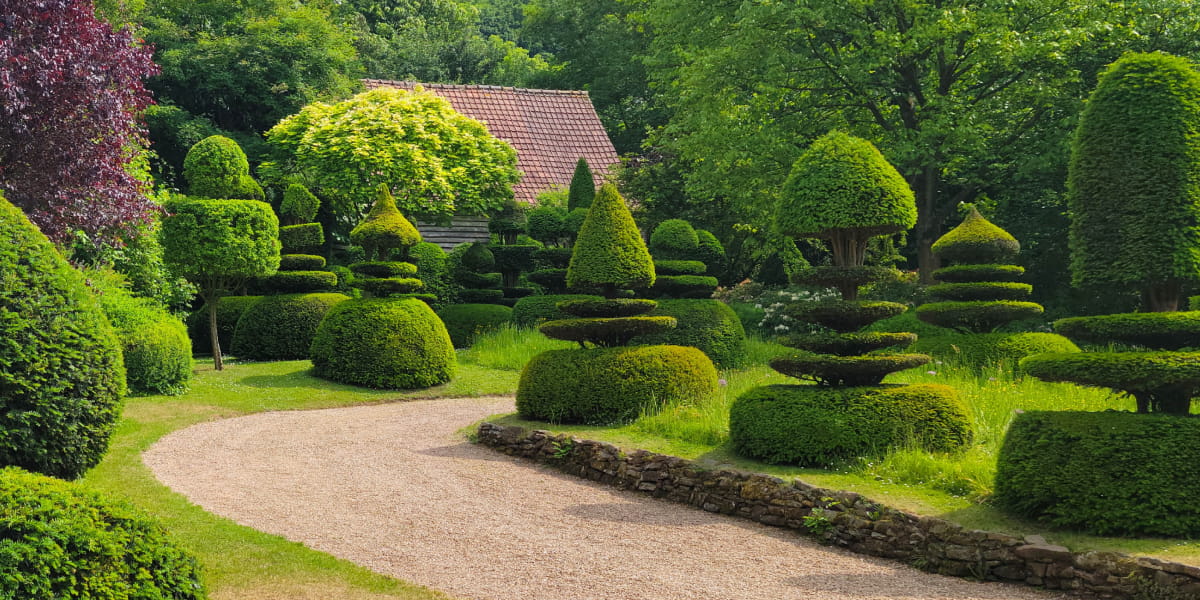 Topiary Experience at Highgrove