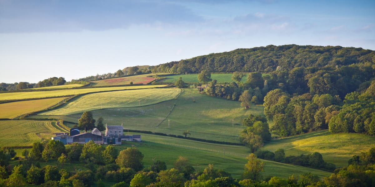 Walking the Hills | Guided Walking Tours in the Cotswolds