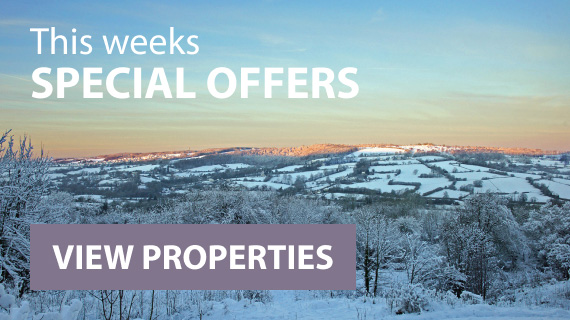 Snap up a last minute cottage