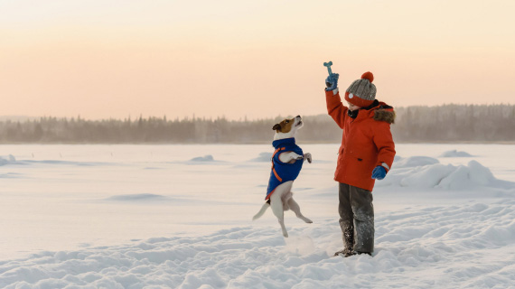 Holidays for everyone in 2026